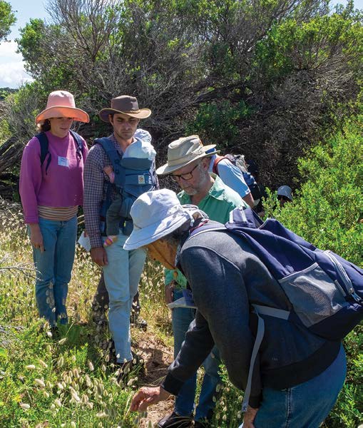 People in sun hats inspecting plants in a patch of remnant native vegetation
