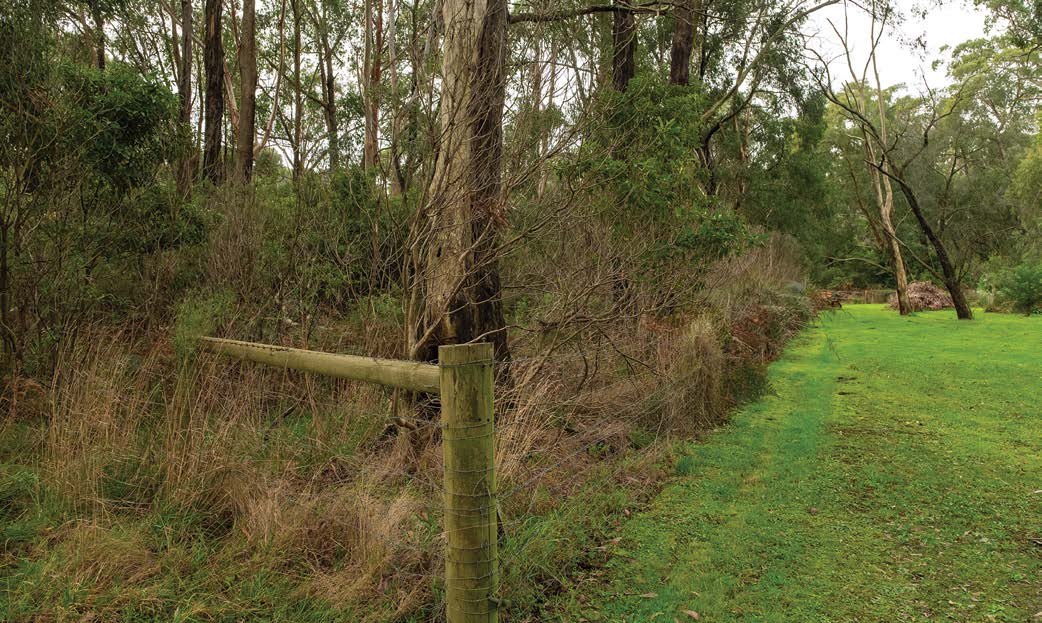A stockproof fence separating remnant bushland from a mown paddock
